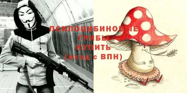 spice Алзамай