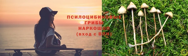 стафф Алексин