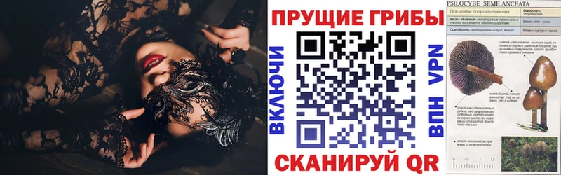 наркошоп  Тырныауз  Псилоцибиновые грибы мицелий 